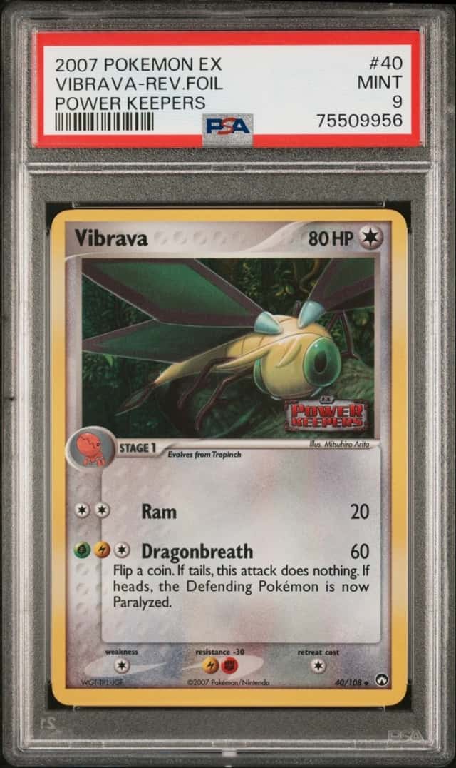 Vibrava