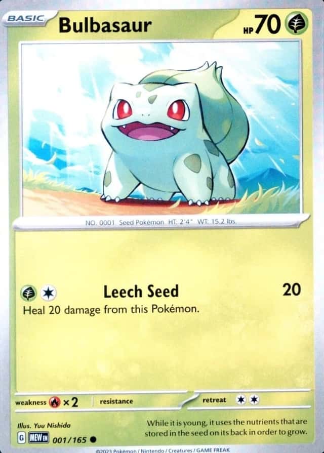 Holo · Costco Exclusive