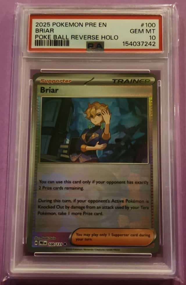 Briar