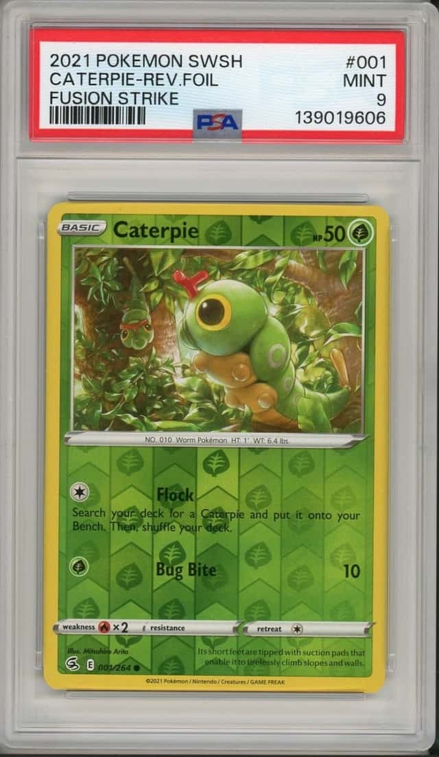 Caterpie