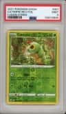 Caterpie