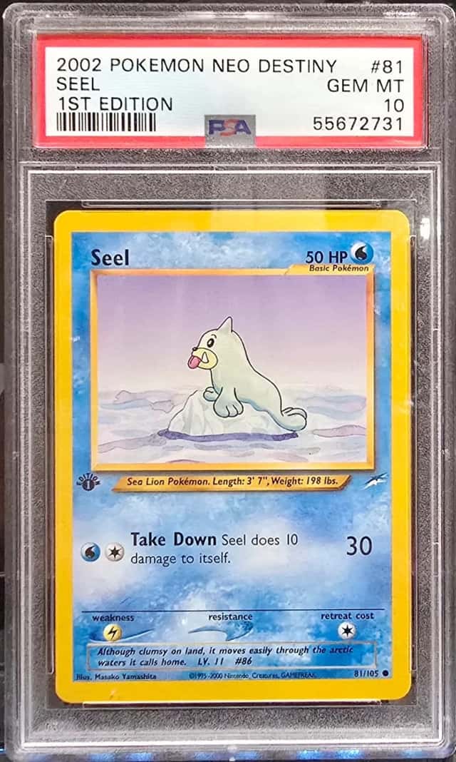 Seel