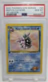 Misty'S Cloyster