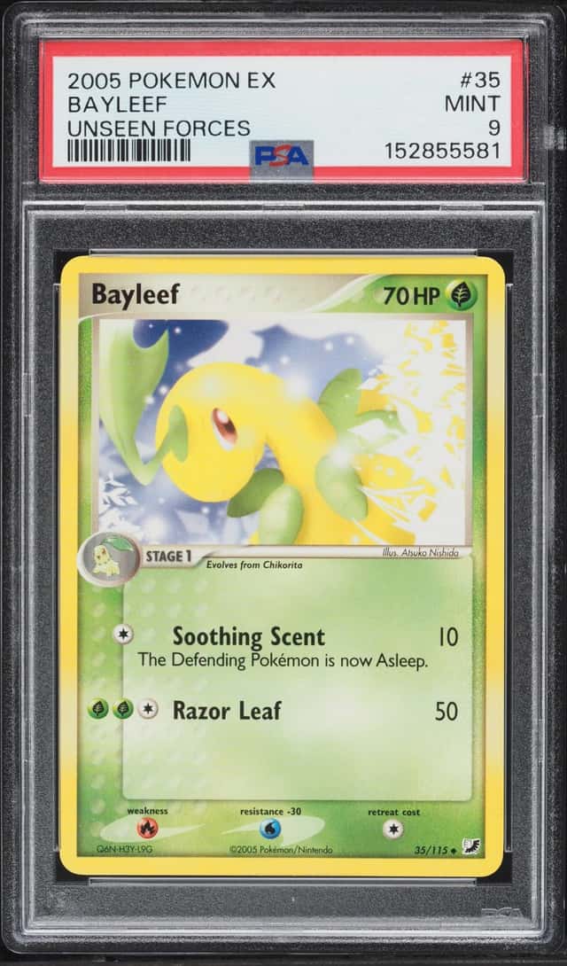 Bayleef
