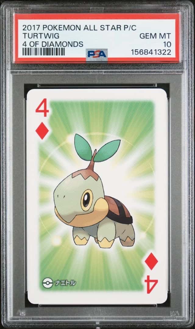 Turtwig