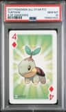 Turtwig