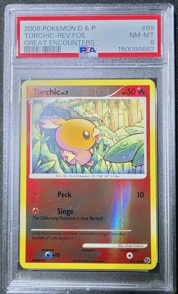Torchic