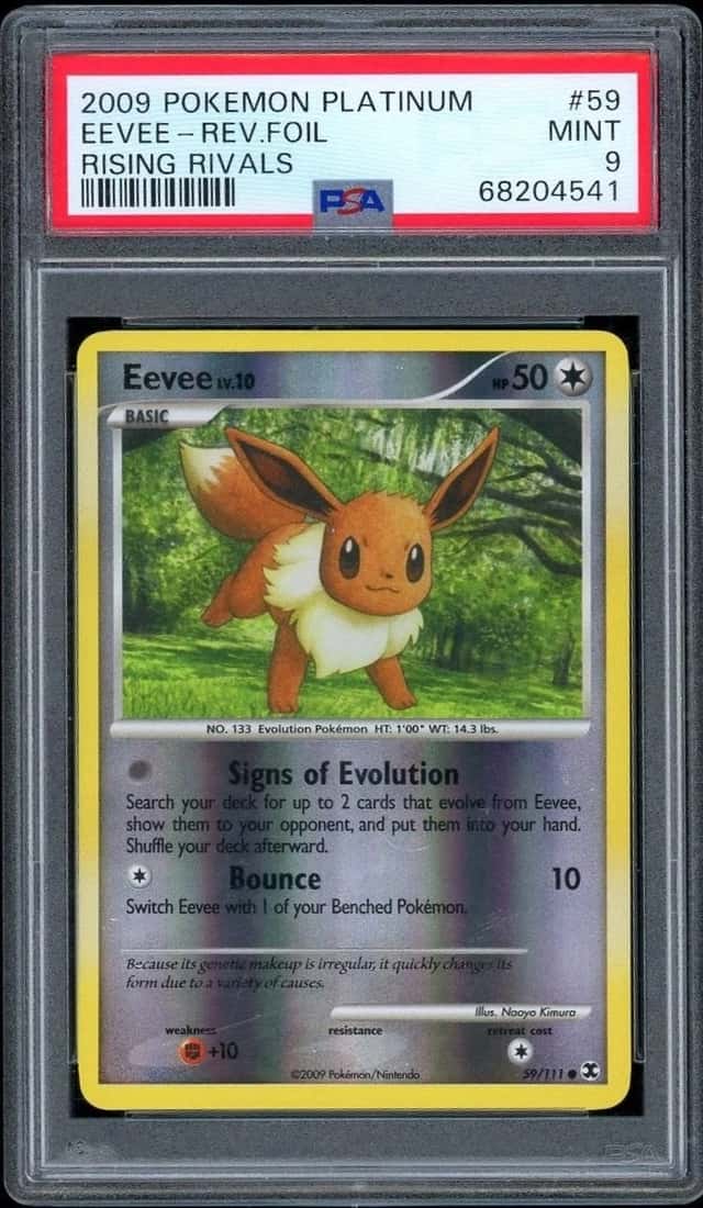 Eevee