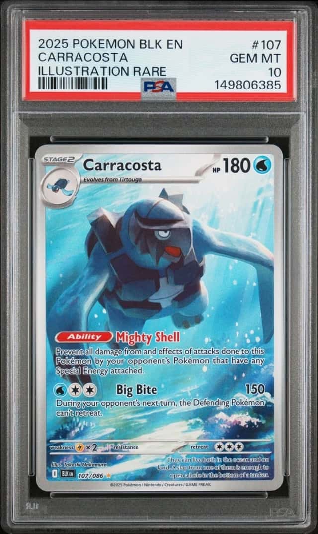 Carracosta