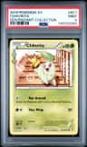 Chikorita