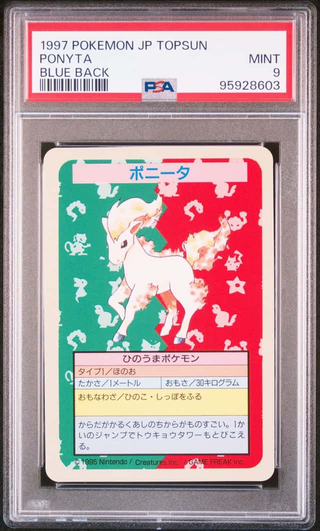 Ponyta
