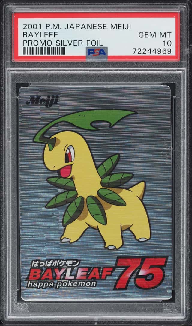Bayleef