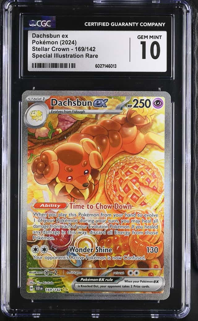 DACHSBUN ex