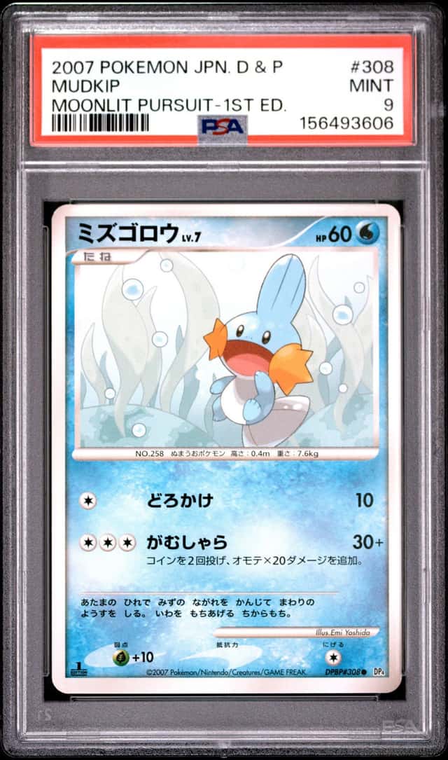 Mudkip
