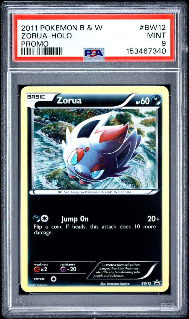 Zorua