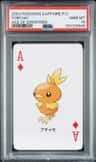 Torchic