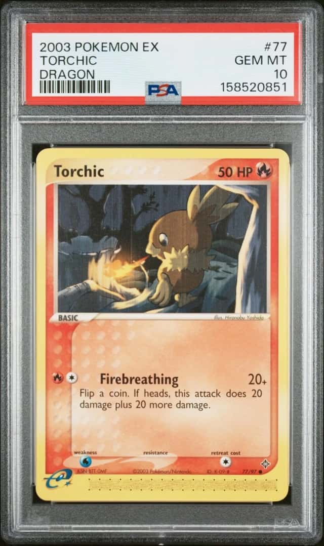 Torchic