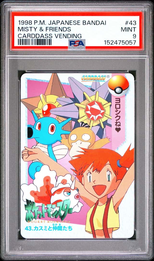 Misty & Friends