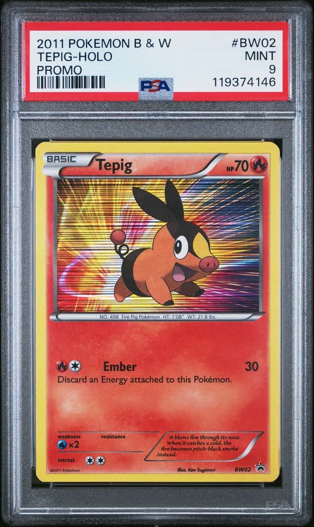 Tepig