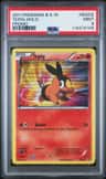Tepig