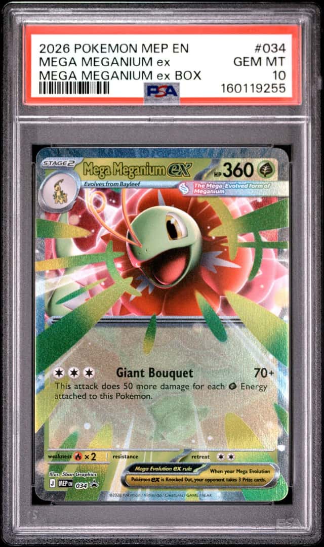 MEGA MEGANIUM ex