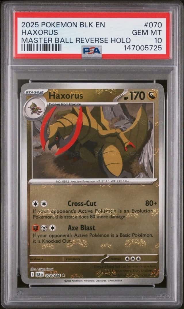Haxorus