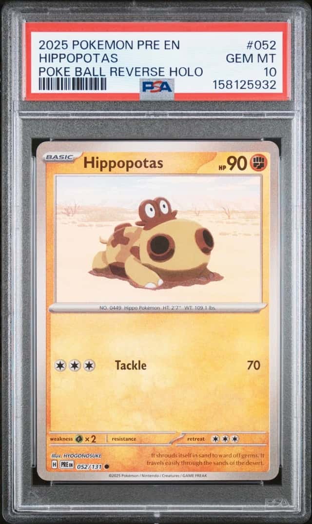 Hippopotas
