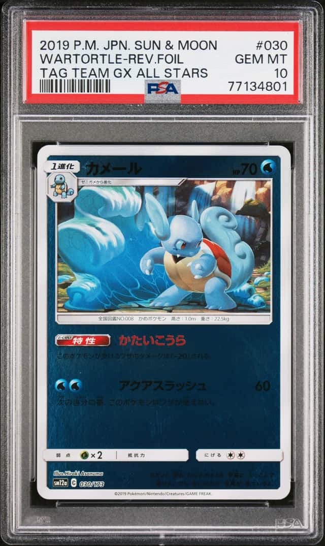 Wartortle