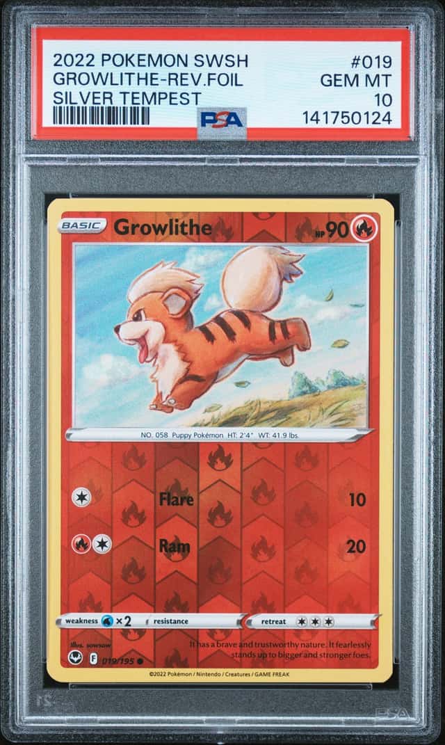 Growlithe