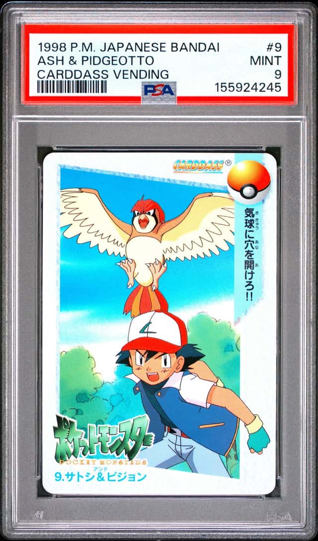 Ash & Pidgeotto