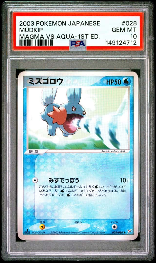 Mudkip