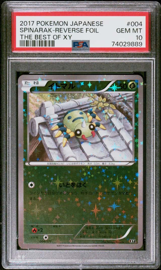 SPINARAK-REVERSE FOIL