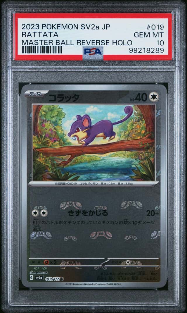 Rattata