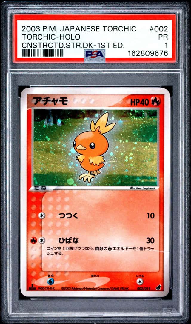 Torchic