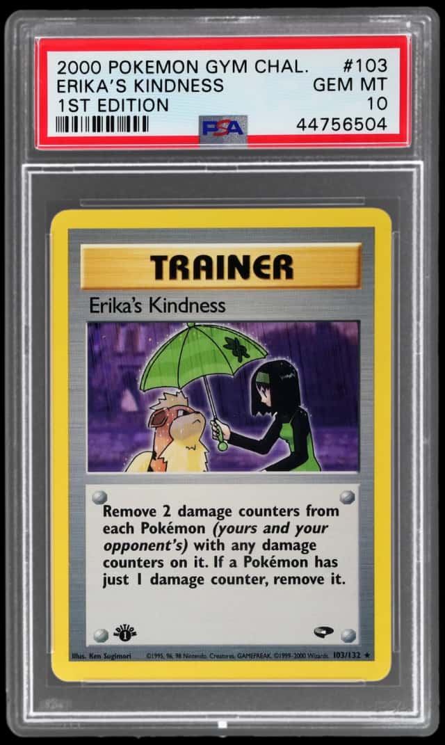 Erika's Kindness