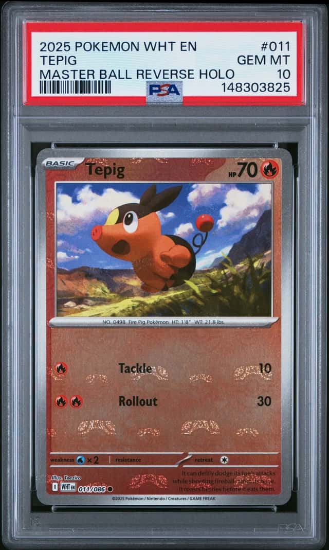 Tepig