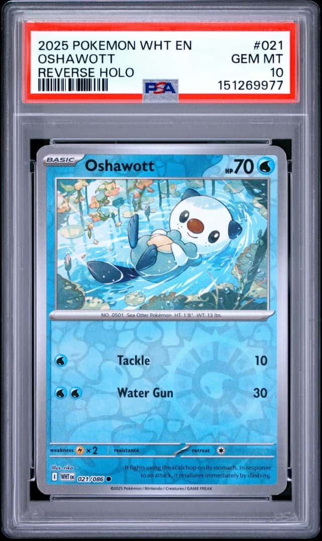 Oshawott