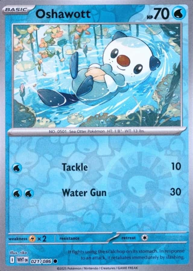 Reverse Holo