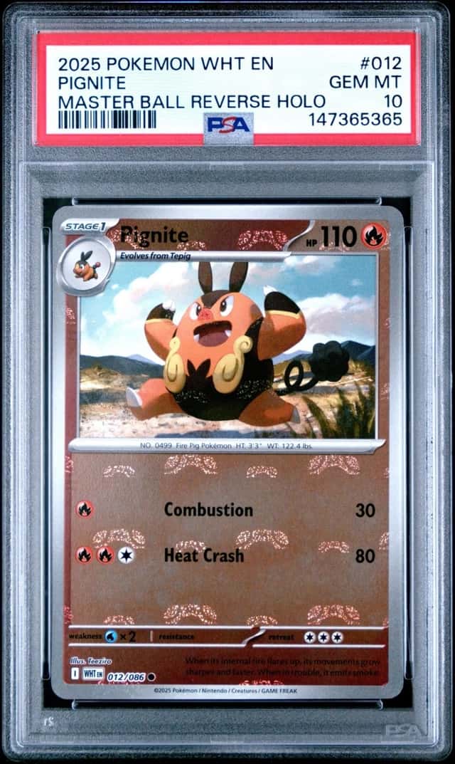 Pignite