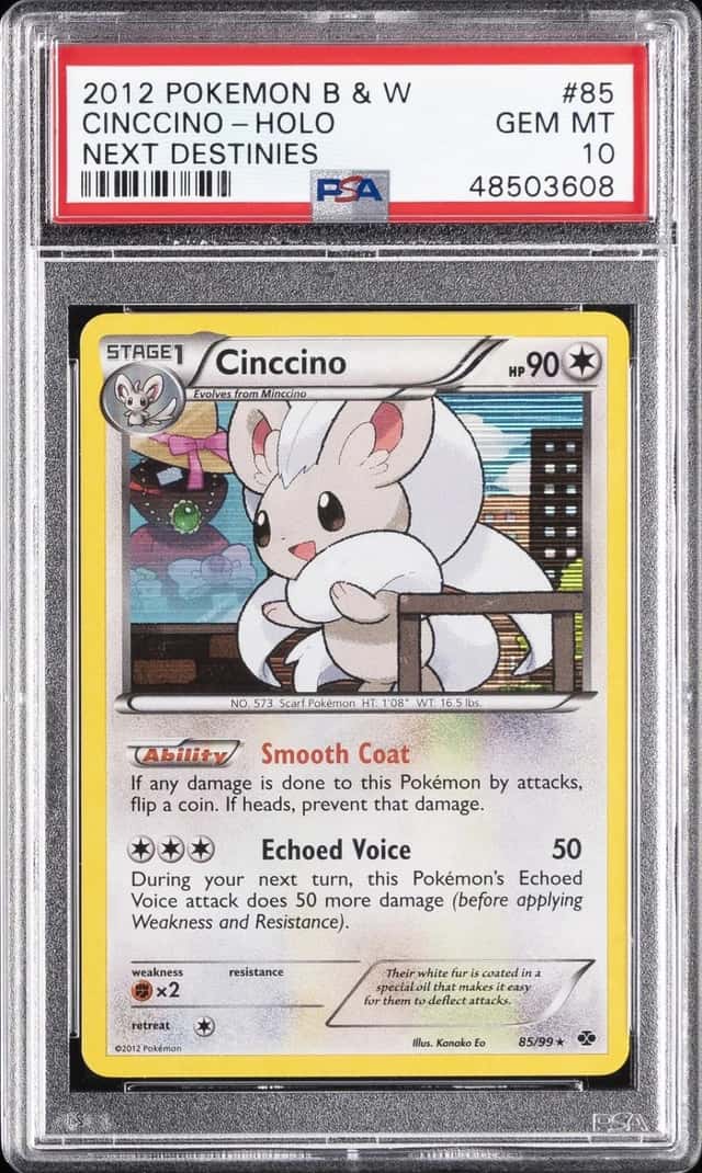 Cinccino