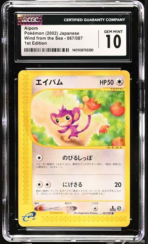 Aipom