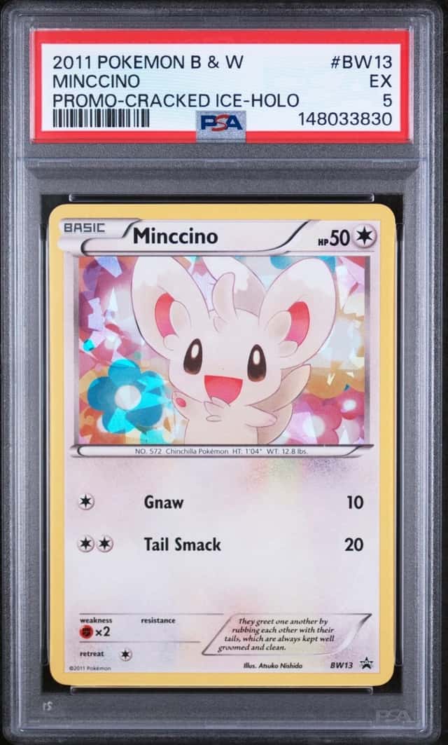 Minccino