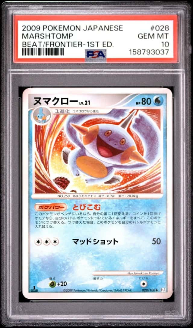 Marshtomp