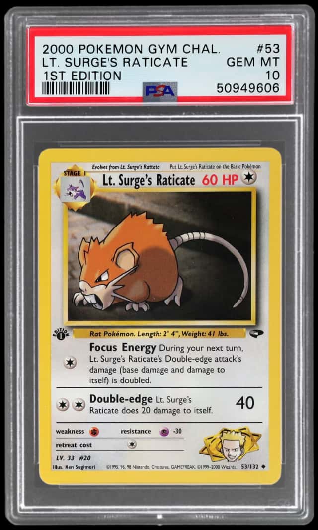 Lt. Surge's Raticate