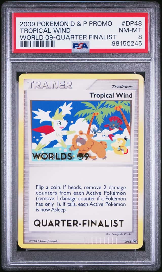Tropical Wind