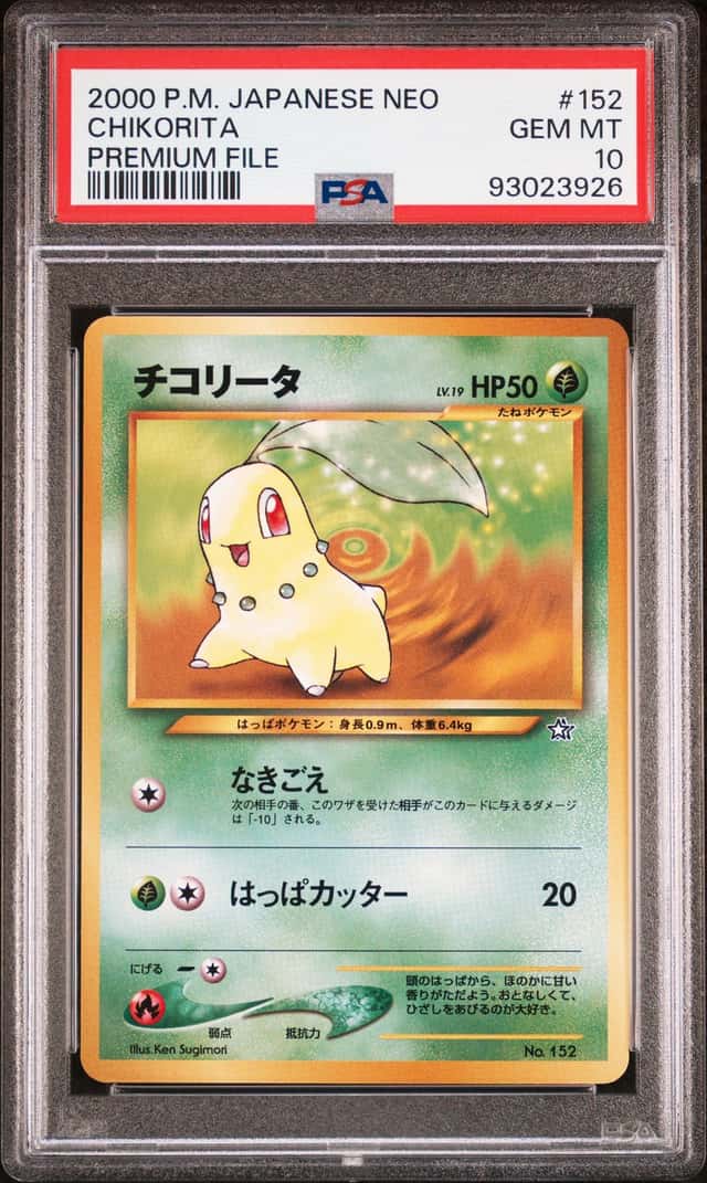 Chikorita