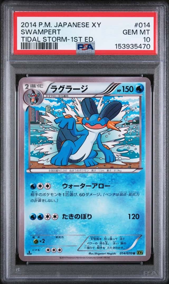 Swampert