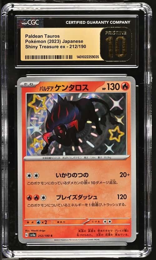 Paldean Tauros