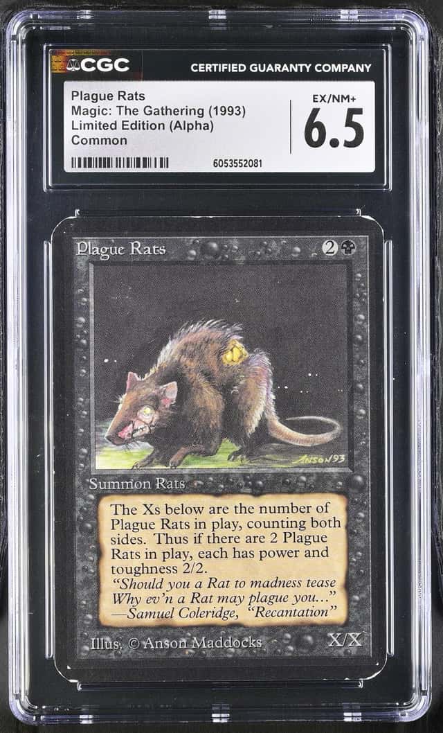 Plague Rats