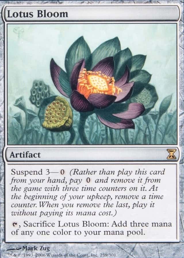 Base / no variant